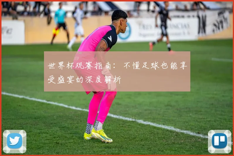 世界杯观赛指南：不懂足球也能享受盛宴的深度解析