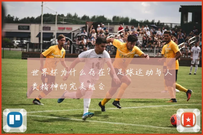 世界杯为什么存在？足球运动与人类精神的完美结合
