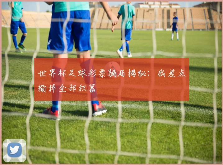 世界杯足球彩票骗局揭秘：我差点输掉全部积蓄