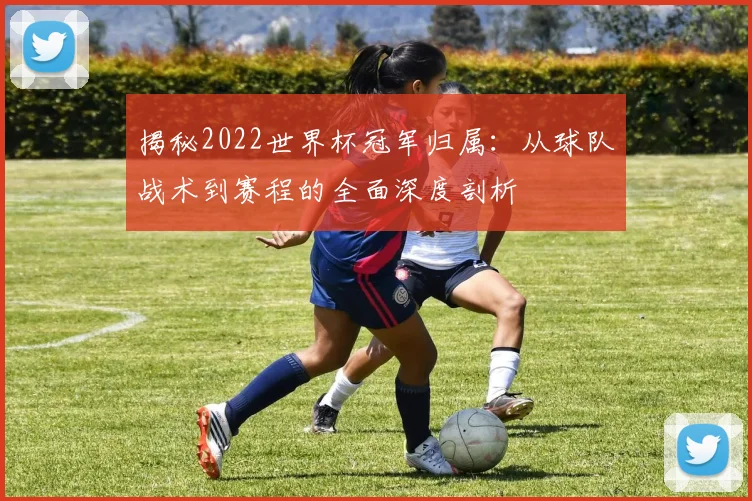 揭秘2022世界杯冠军归属：从球队战术到赛程的全面深度剖析