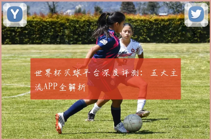 世界杯买球平台深度评测：五大主流APP全解析