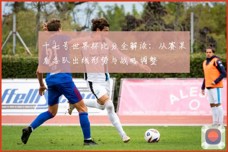 十七号世界杯比分全解读：从赛果看各队出线形势与战略调整