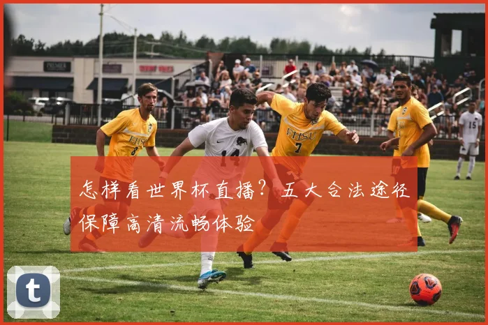 怎样看世界杯直播?五大合法途径保障高清流畅体验