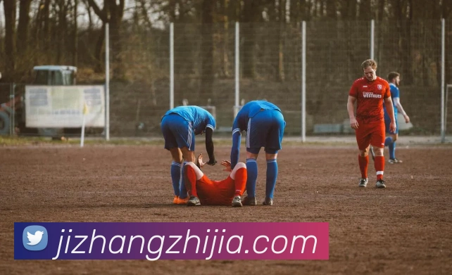 奖项证书