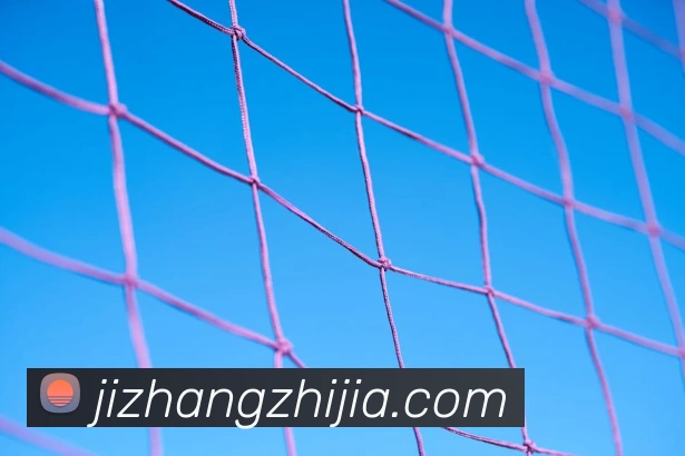 奖项2